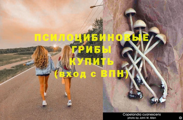 альфа пвп Кукмор