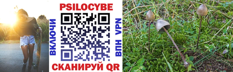 Псилоцибиновые грибы Psilocybine cubensis  Купить где  Чёрмоз 
